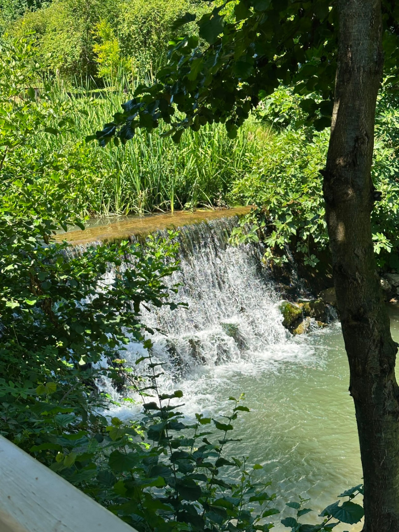 Şelale Manzarası